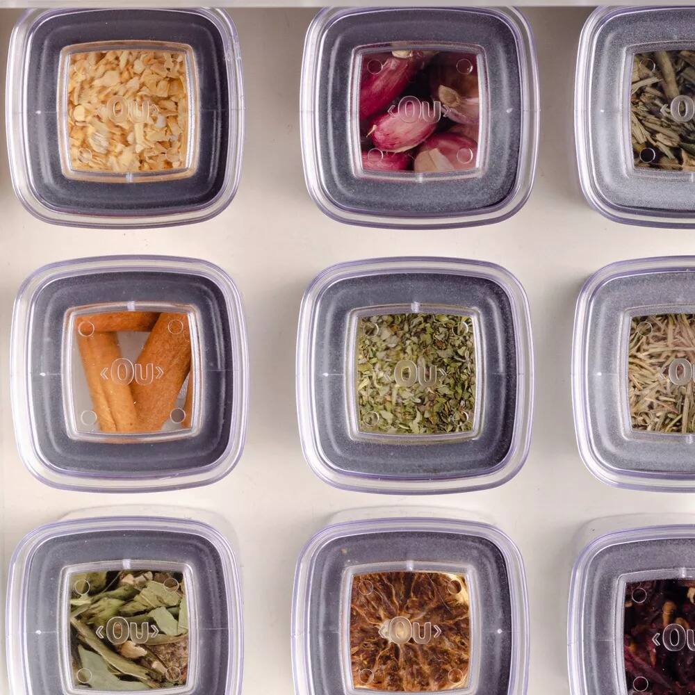 O1 OUS O <OU> OU <OU> OU> <O