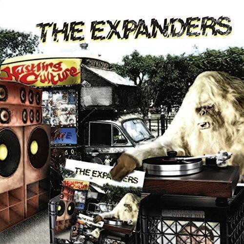 The Expanders Hustling Culture VINYL LP - Best Buy