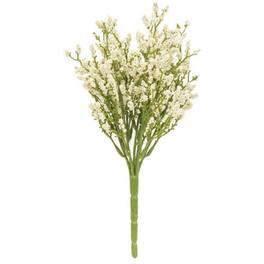 BreeBe - Array Astilbe Bush - Cream