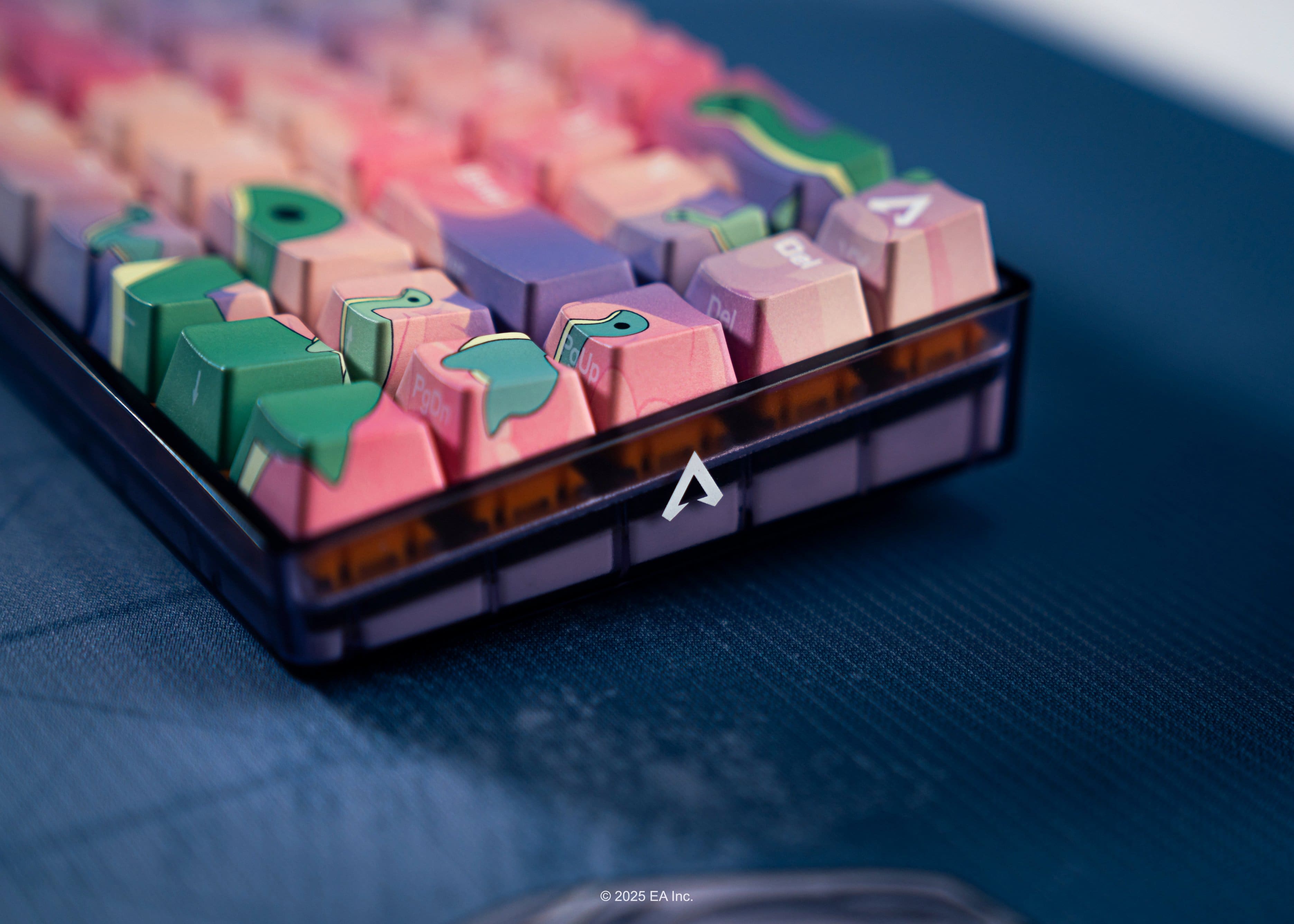 The text on the image reads: "2025 EA Inc."