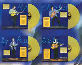 Various Artists - Sun Records Rockabilly Rebels - VINYL LP