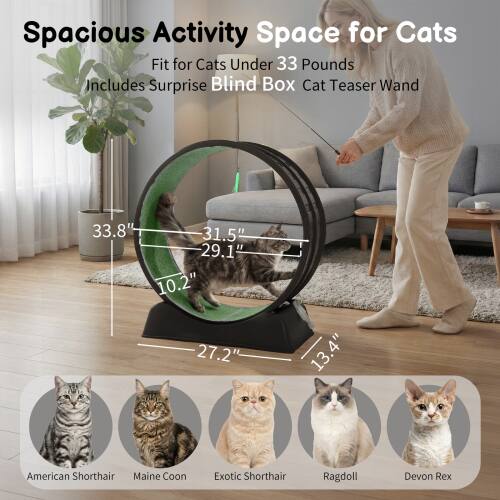 Winado Cat Exercise Wheel, 31 inch Cat Treadmill with Detachable Carpet ...