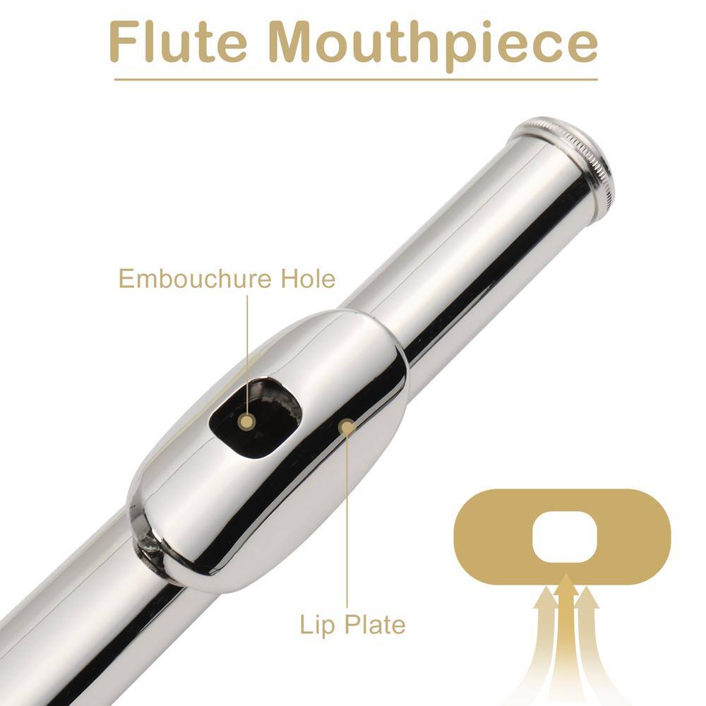 Flute Mouthpiece

Embouchure Hole

Lip Plate