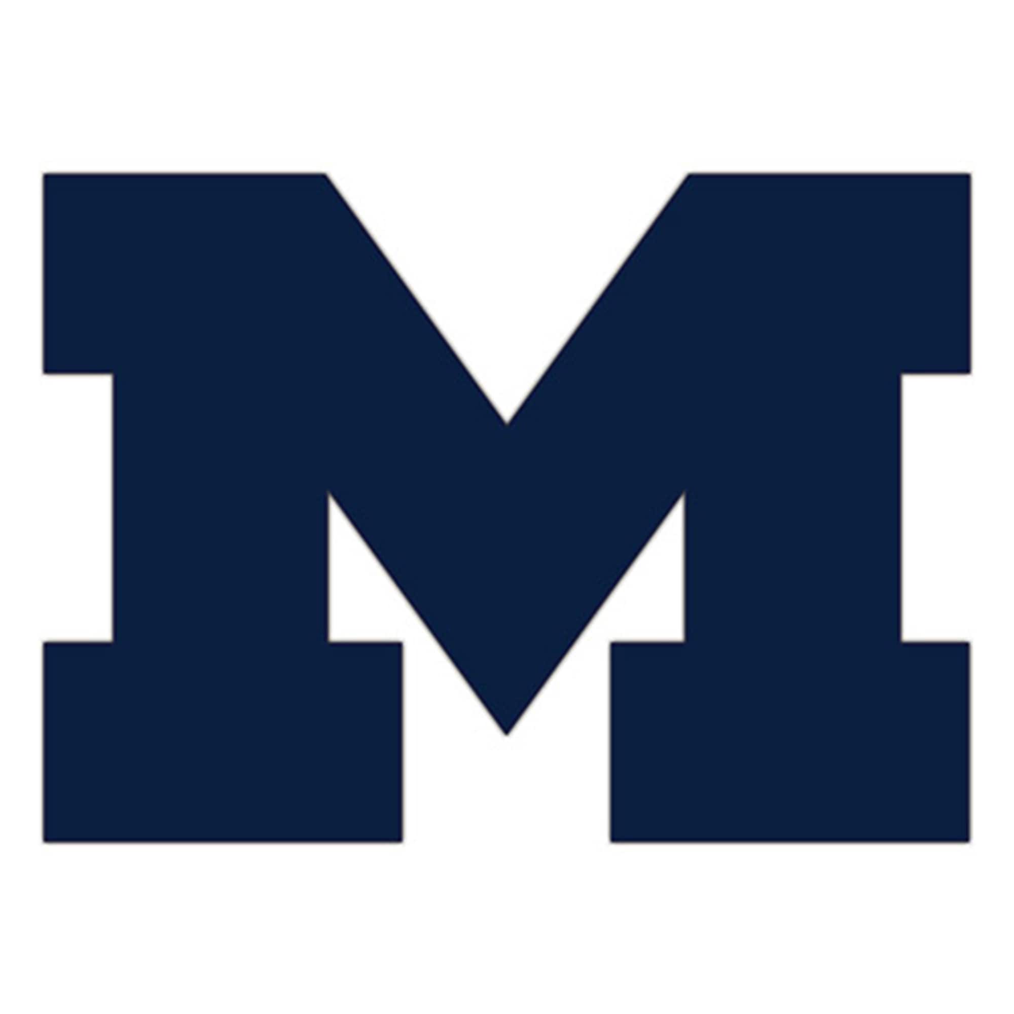 Michigan Wolverines 24" Logo Cutout Sign