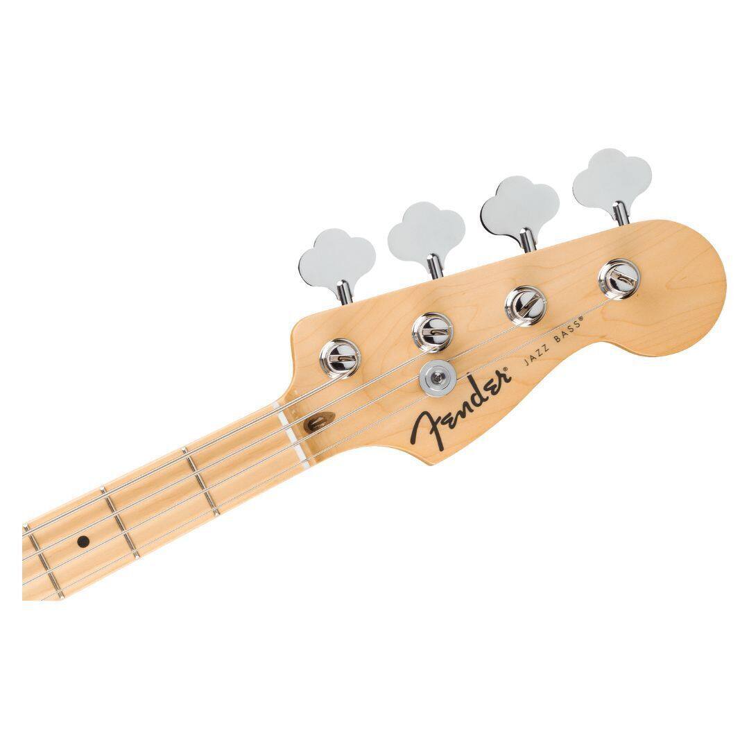 Bass Jazz Fender