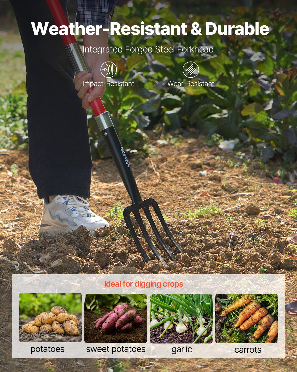 Weather-Resistant & Durable  
Integrated Forged Steel Forkhead  
Impact-Resistant  
Wear-Resistant  

Ideal for digging crops  
potatoes  
sweet potatoes  
garlic  
carrots