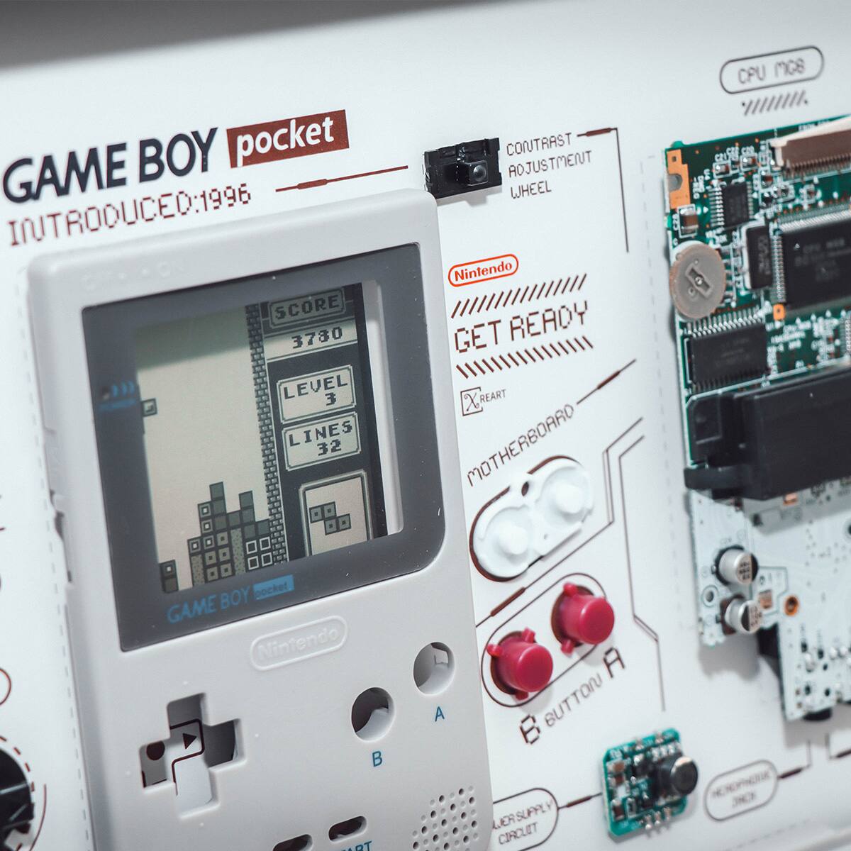 GAME BOY pocket  
INTRODUCED: 1996  

SCORE 3780  
LEVEL 3  
LINES 32  

Nintendo  
GET READY  

CONTRAST ADJUSTMENT WHEEL  

MOTHERBOARD  
CPU Mc8  

A BUTTON  
B BUTTON  

LICER SUPPLY CIRCUIT  

Nintendo  
GAME BOY pocket