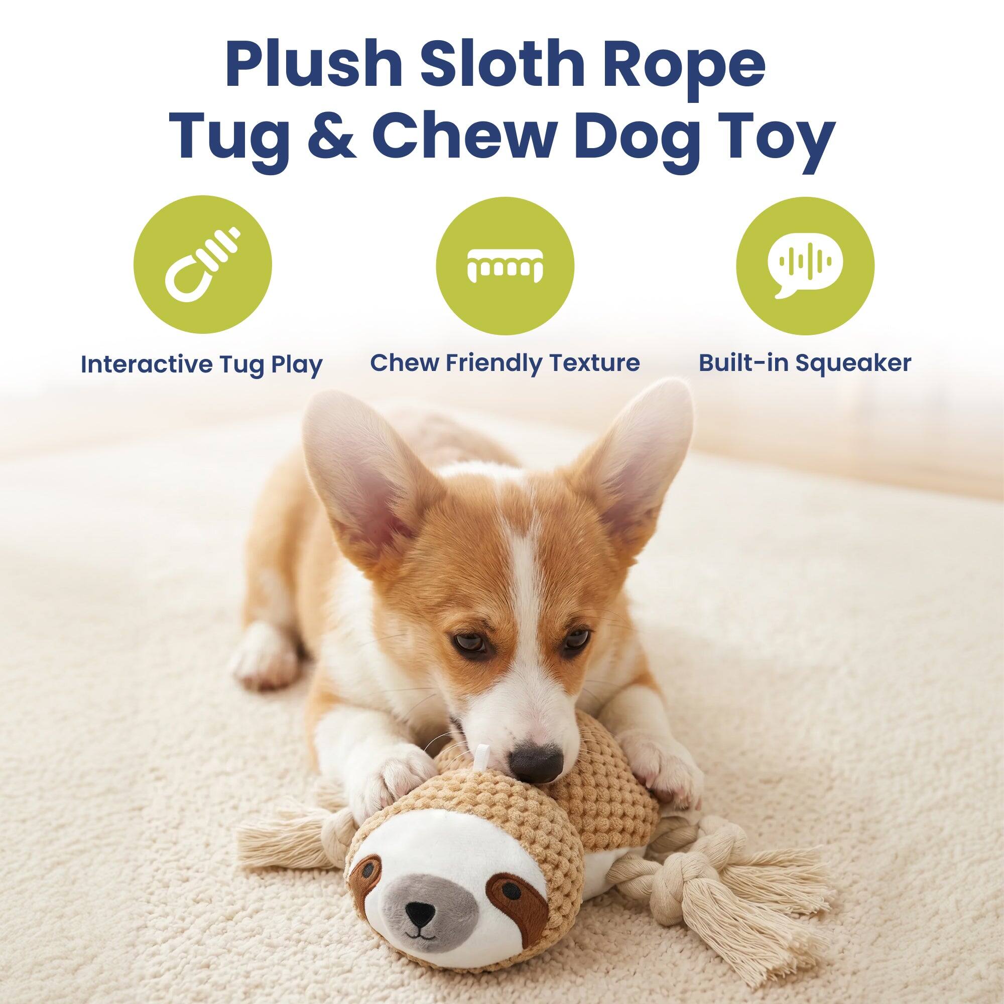 Plush Sloth Rope Tug & Chew Dog Toy

Interactive Tug Play
Chew Friendly Texture
Built-in Squeaker