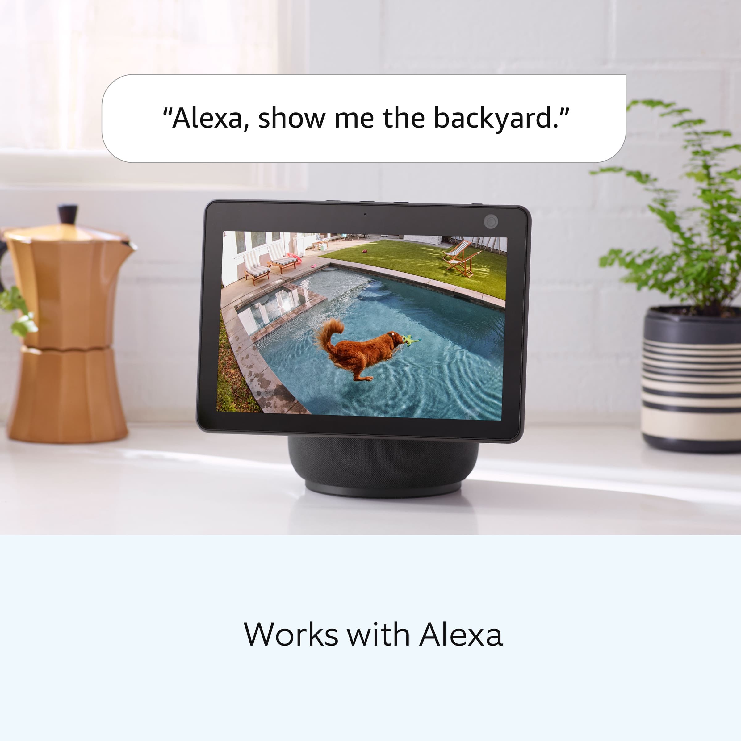 "Alexa, show me the backyard." works with Alexa.