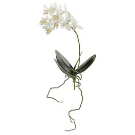 BreeBe - 13" Mini Orchid Phalaenopsis Artificial Flower (Set of 6) - White