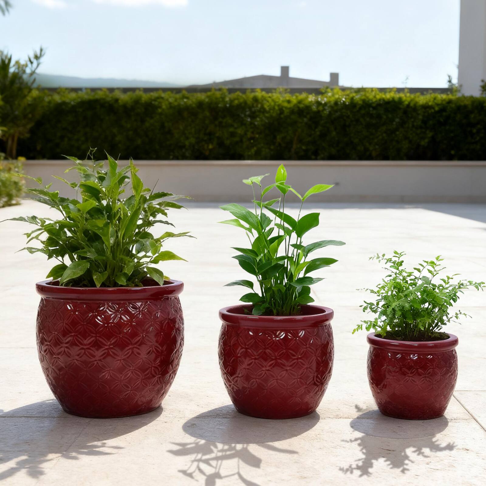 Angle. Loheer - Loheer Ceramic Planter Set Handmade Set of 3 Red Ceramic Planters with Floral Embossed Pattern for Orchids.