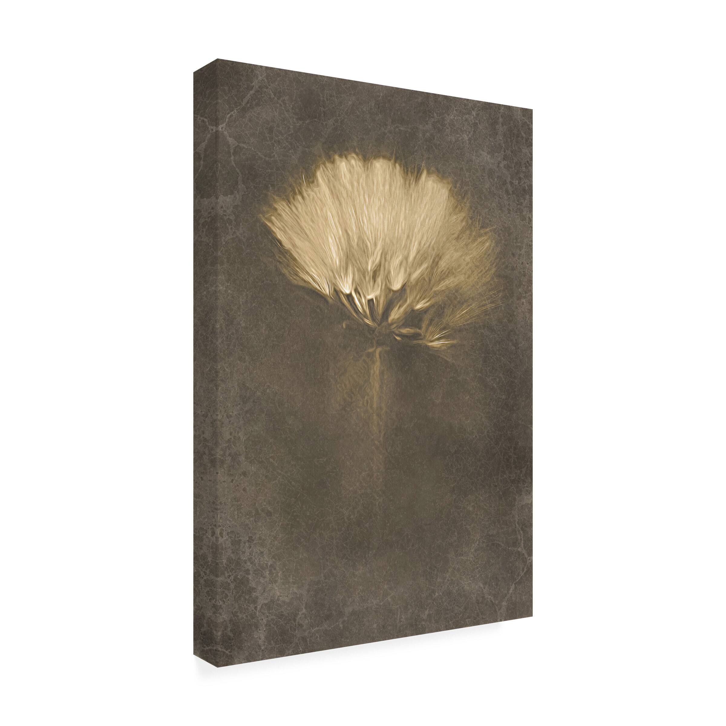 Front. Trademark Fine Art - Cicek Kiral Mysterious Days Canvas Art - 30 x 47 Inches - 30x47 - Multicolor.