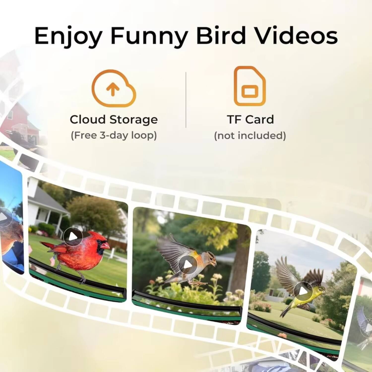 Enjoy Funny Bird Videos

- Cloud Storage (Free 3-day loop)
- TF Card (not included)