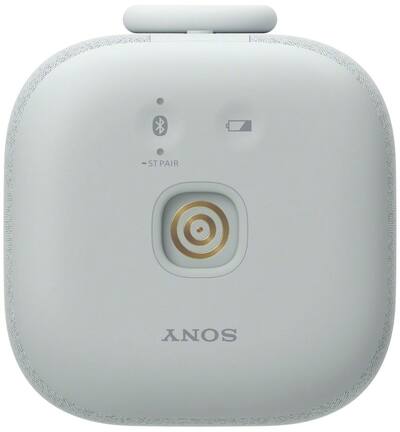 Sony LinkBuds Wireless Portable Speaker Gray SRSLS1/H - Best Buy