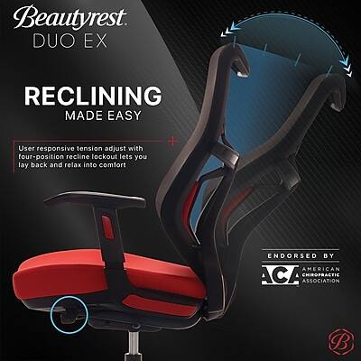 Beautyrest DUO EX  
RECLINING MADE EASY  
User responsive tension adjust with four-position recline lockout lets you lay back and relax into comfort  
ENDORSED BY AMERICAN ACA CHIROPRACTIC ASSOCIATION