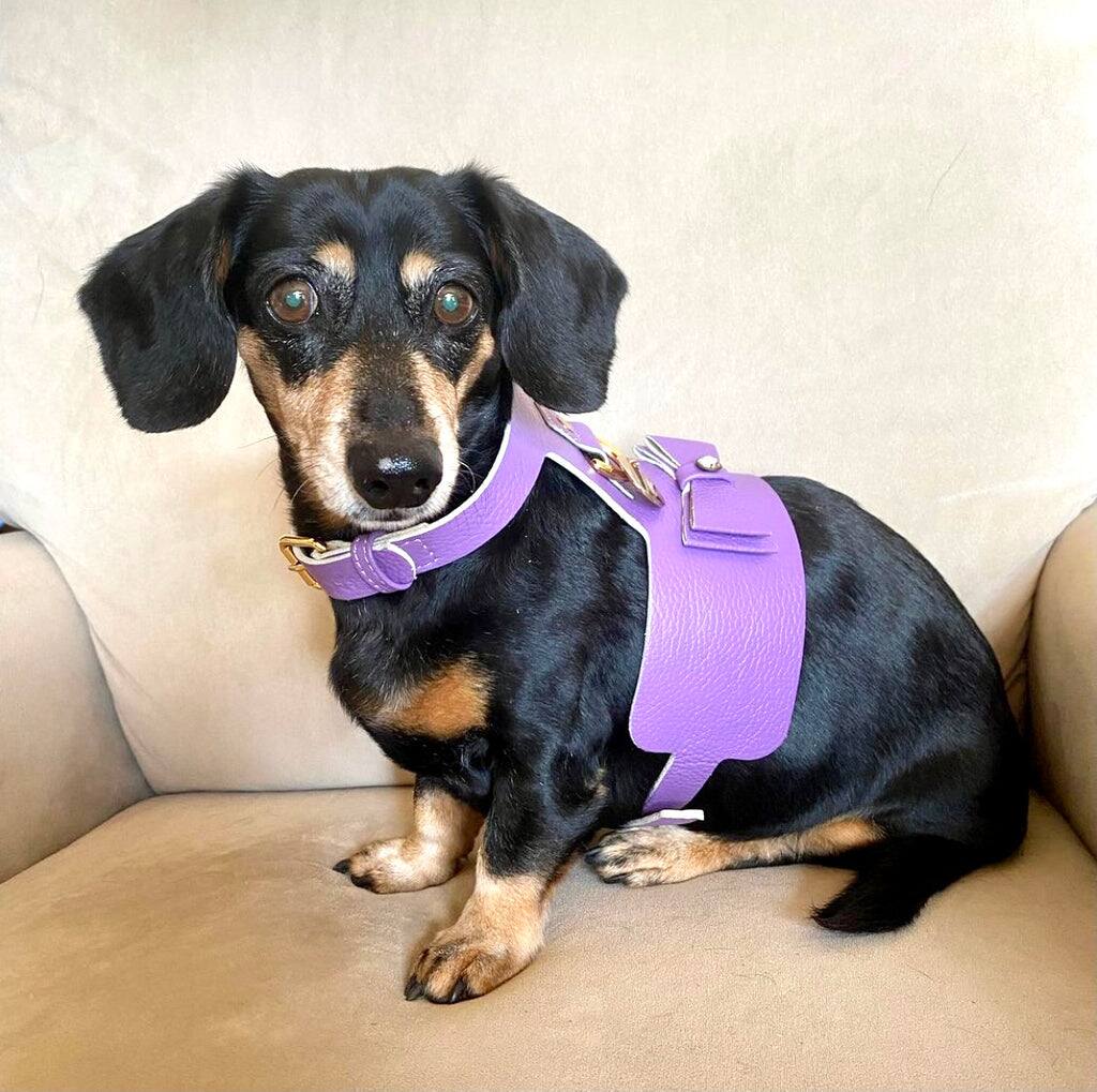 Left. PoisePup - Luxe Adjustable Leather Harness Vest, Soft with Bow and Crystal for Dogs - Purple.