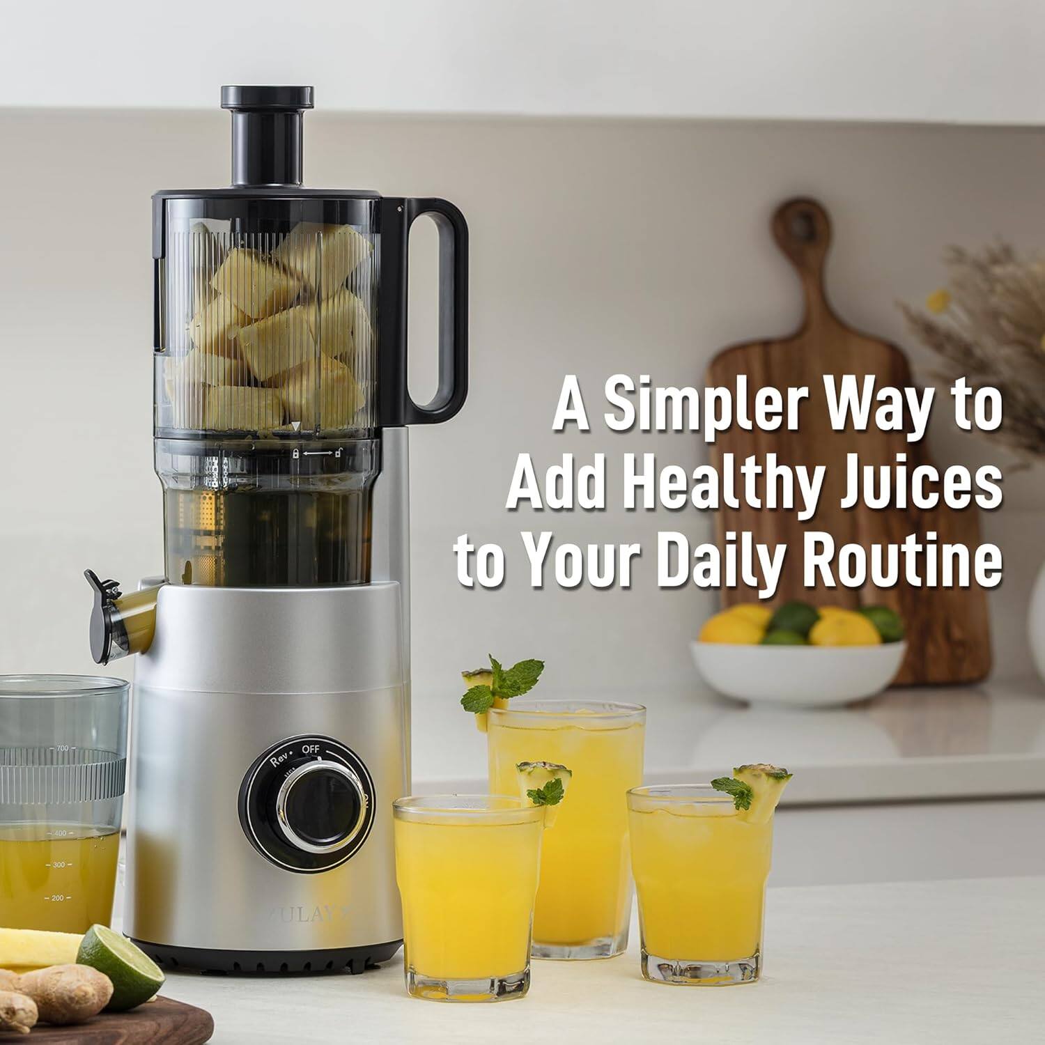 A Simpler Way to Add Healthy Juices to Your Daily Routine