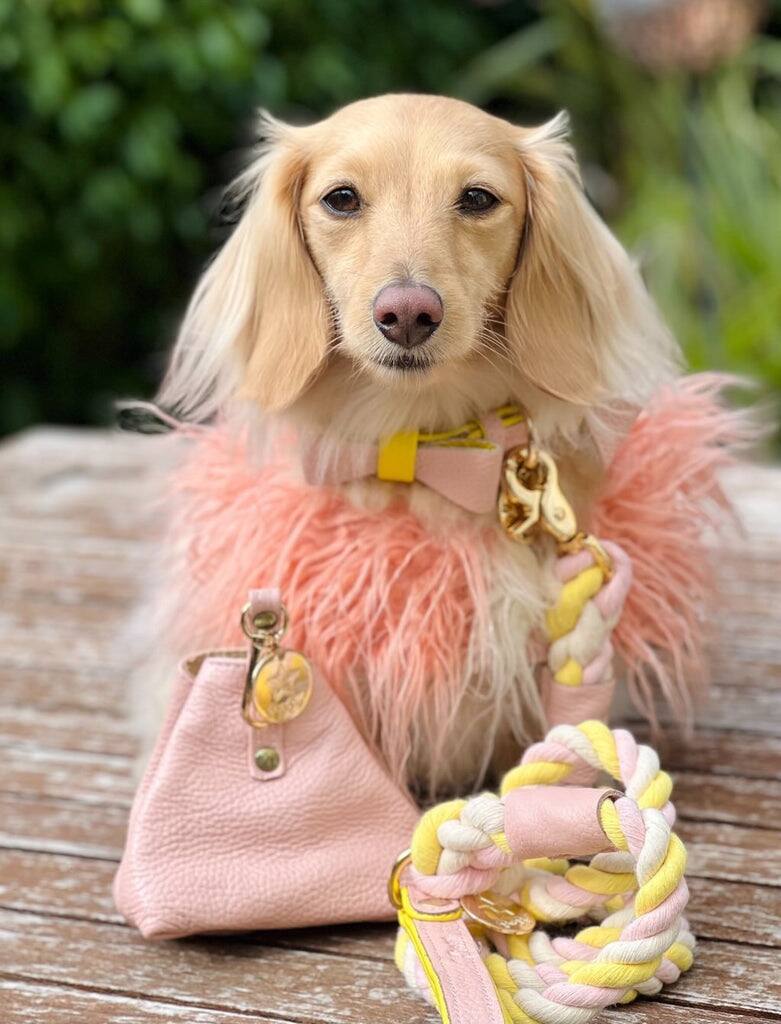 Left. PoisePup - PoisePup Pet Dog 5ft Long Leash - Light Pink | Yellow.