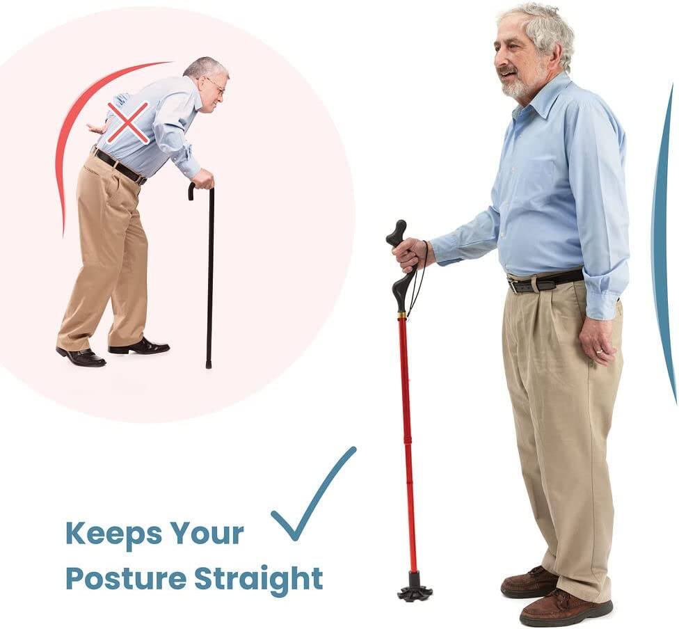 Keeps Your Posture Straight