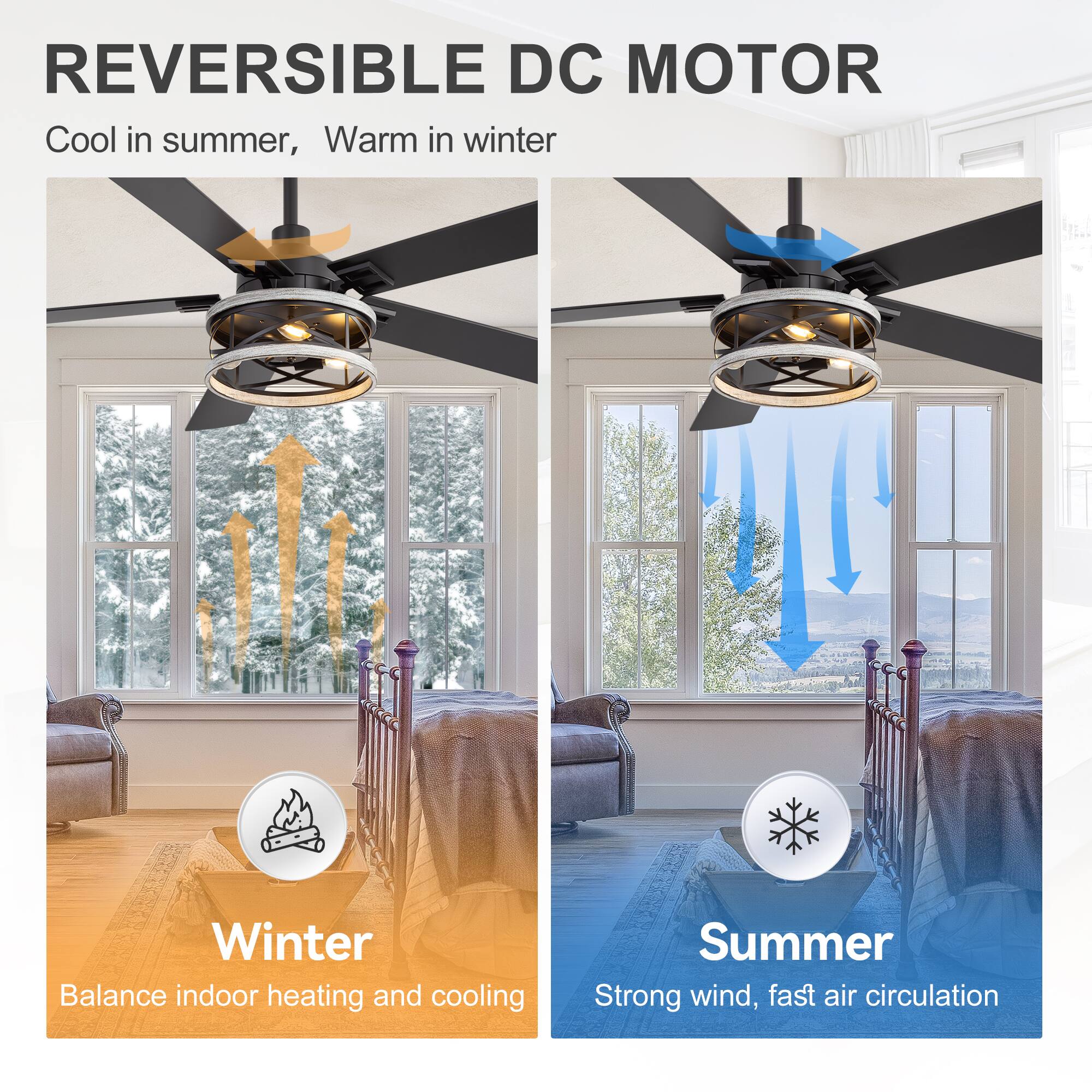 REVERSIBLE DC MOTOR  
Cool in summer, Warm in winter  

Winter  
Balance indoor heating and cooling  

Summer  
Strong wind, fast air circulation