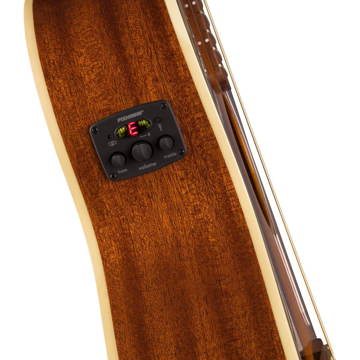 FISHMAN E  
bass treble volume