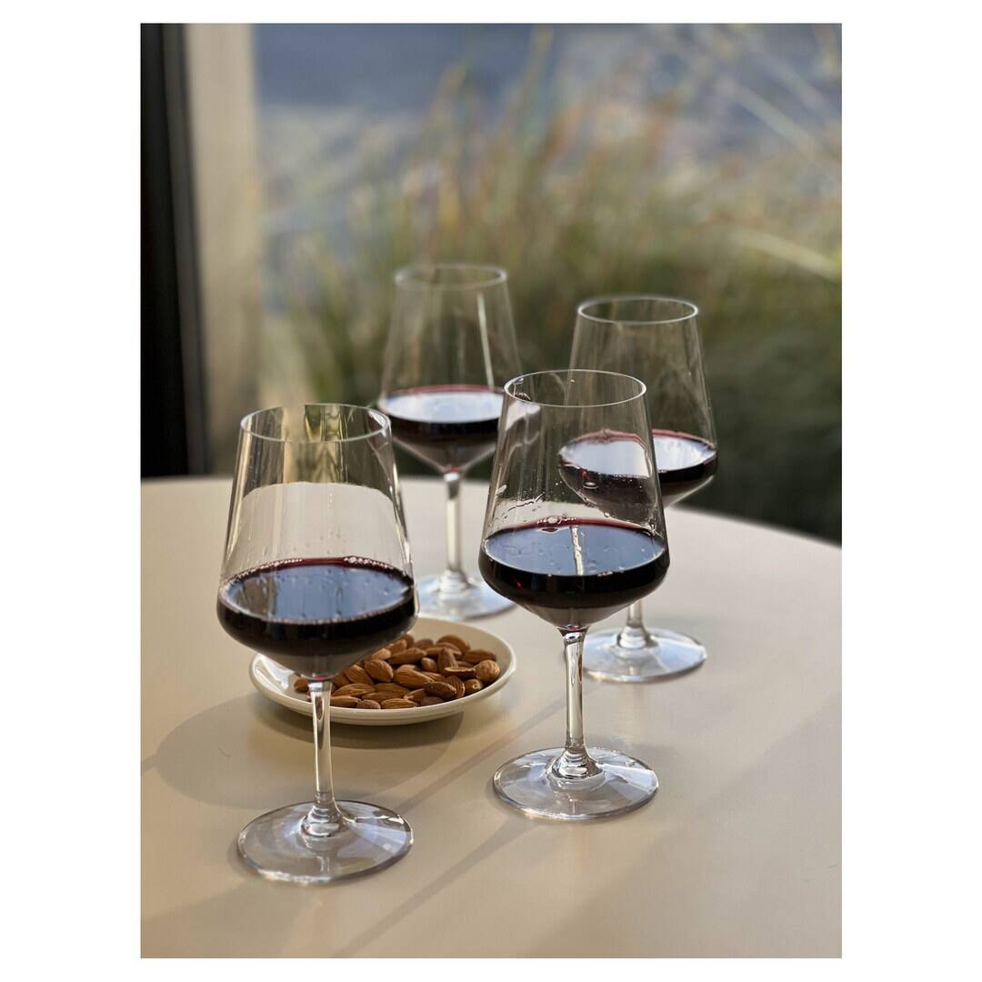 Angle. APRILSOUL - Plastic Wine Glasses Set of 4 BPA Free Tritan Lexington Unbreakable Red White Wine Glasses - white.