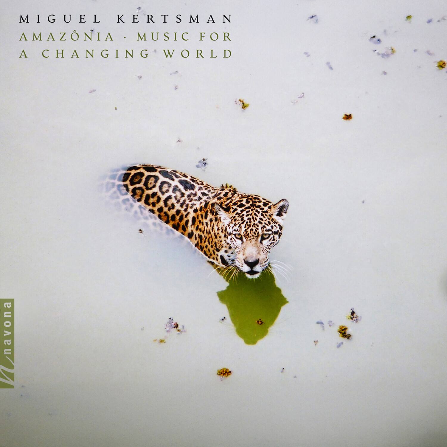 MIGUEL KERTSMAN  
AMAZÔNIA • MUSIC FOR A CHANGING WORLD  

navona