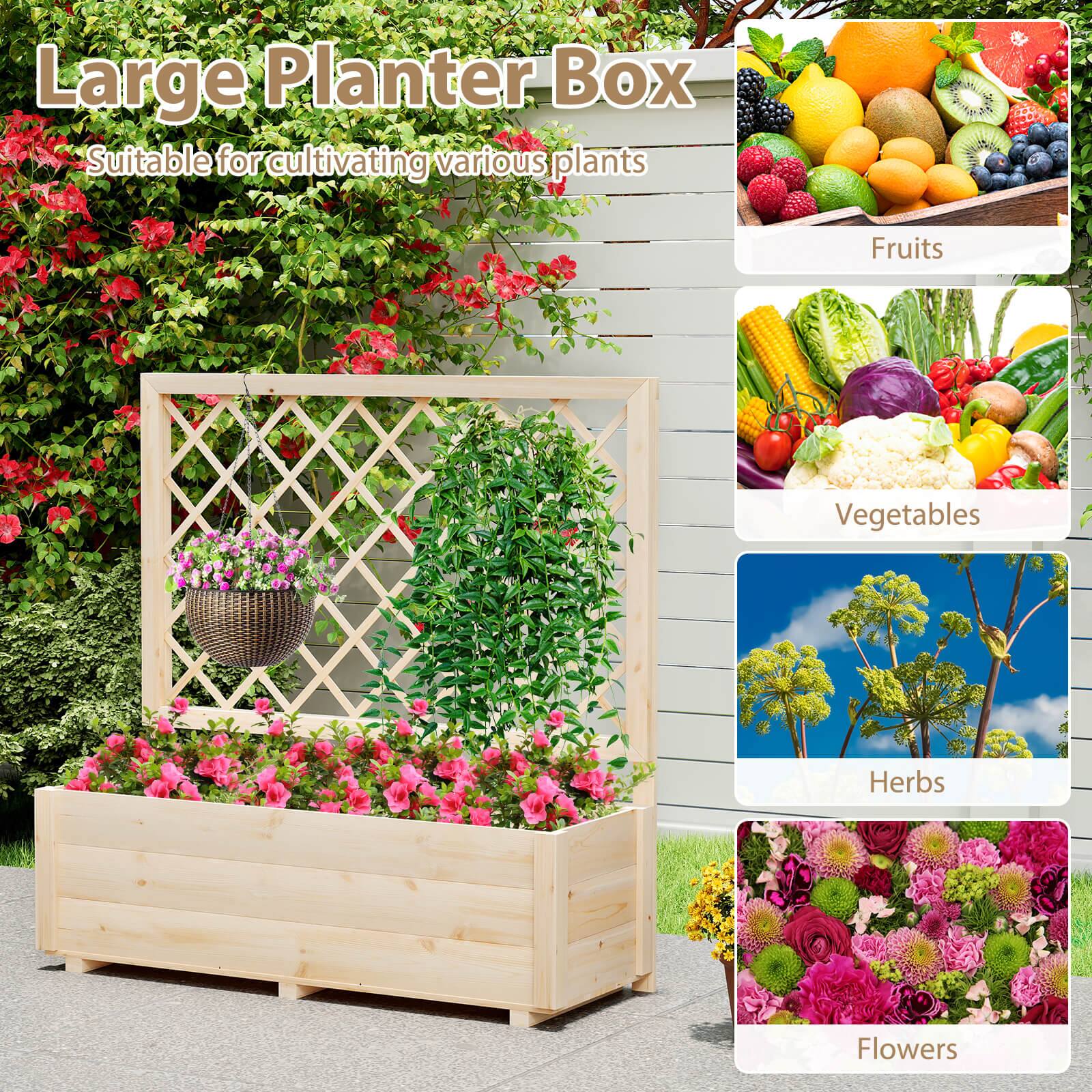 Large Planter Box  
Suitable for cultivating various plants  

- Fruits  
- Vegetables  
- Herbs  
- Flowers