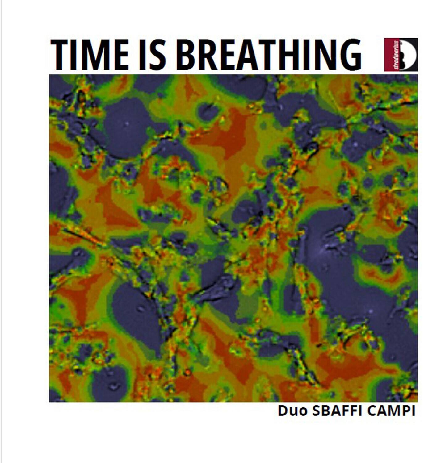TIME IS BREATHING

Duo SBAFFI CAMPI