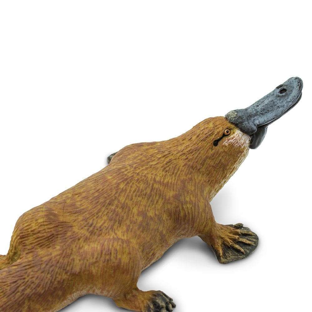 Alt View 2. Safari Ltd. - Platypus Toy Figurine.