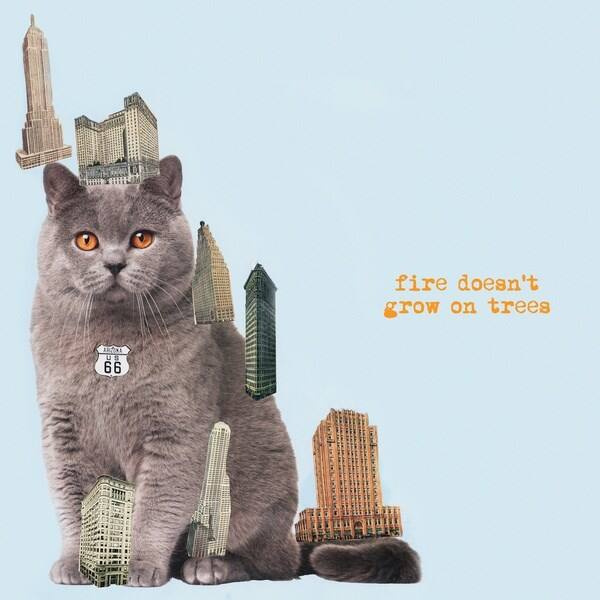 Fire Doesn't Grow On Trees [LP] - VINYL