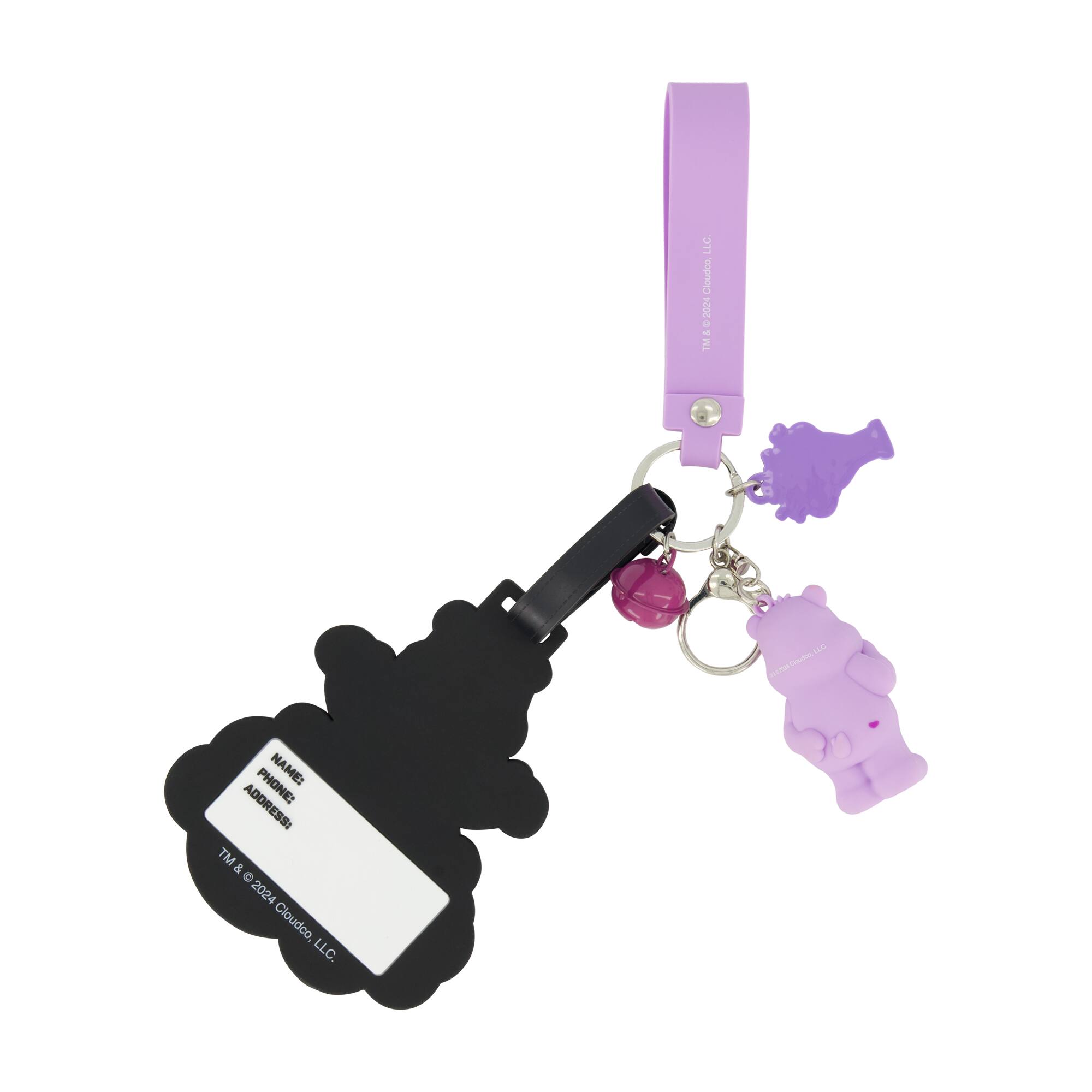 DT Cloudoo I U - TM SL N PHONE: NAME: ADDRESS: TM & © 2024 Cloudco, LLC.