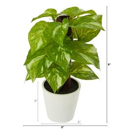 BreeBe - 9" Pothos Artificial Plant in White Planter (Real Touch) - Green