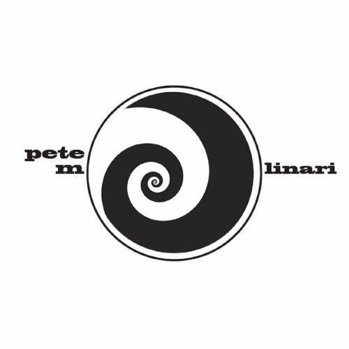 Pete Molinari - Look to the Wind / Girl Called Mine   - VINYL LP price history on PriceWatchPro