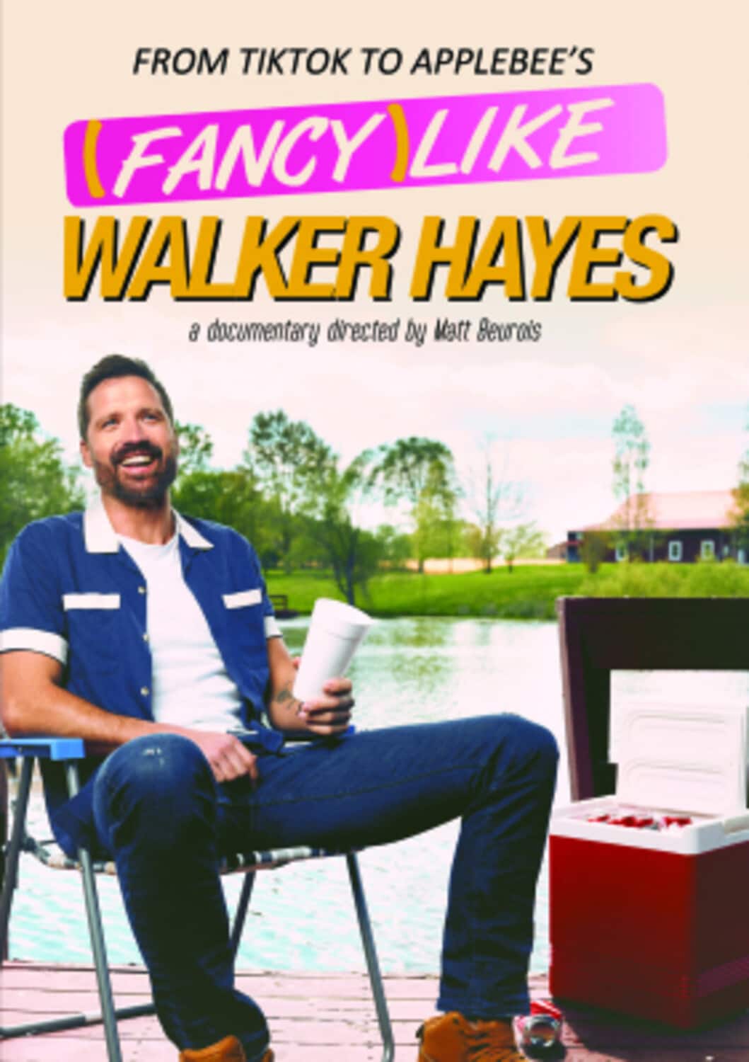 Fancy Like Walker Hayes  - DVD