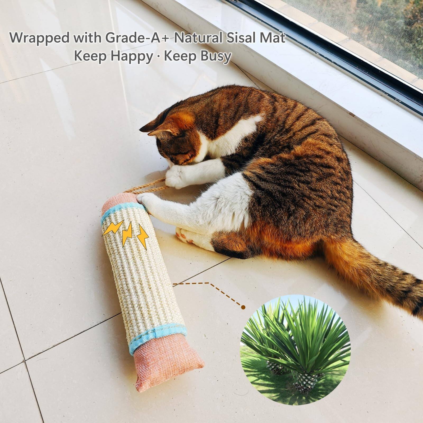 Wrapped with Grade-A+ Natural Sisal Mat  
Keep Happy • Keep Busy
