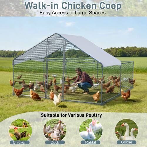 Walk-in Chicken Coop  
Easy Access to Large Spaces  
Suitable for Various Poultry  
Chicken, Duck, Rabbit, Goose
