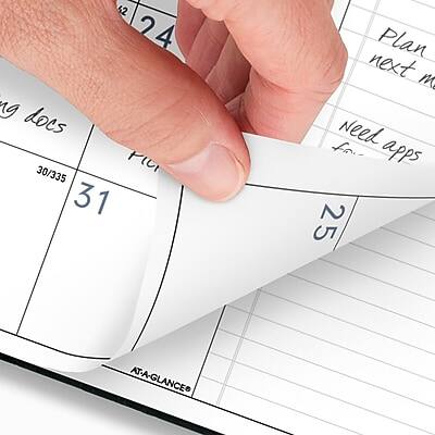 42 24 ng docs 30/335 FIUI 31 Plan next month Need for apps 25 AT-A-GLANCE