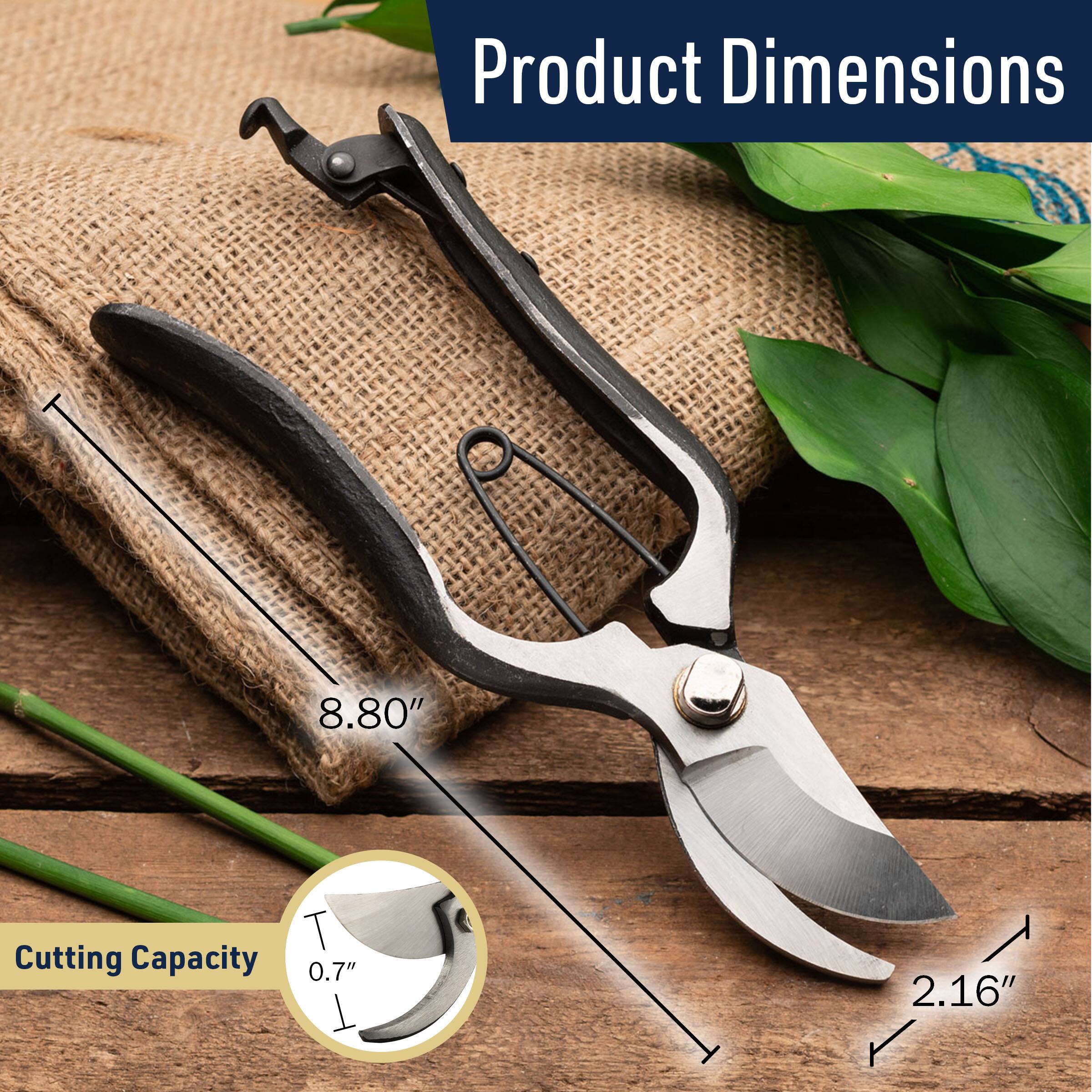 Product Dimensions  
8.80" T  
Cutting Capacity  
0.7" T  
2.16"