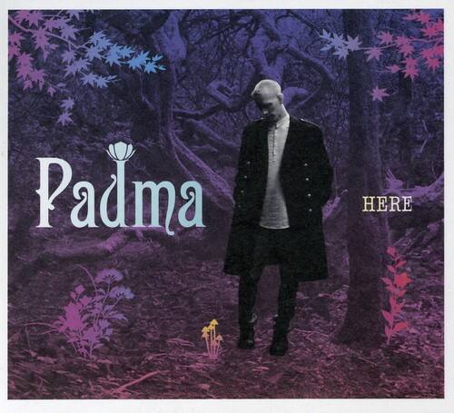 Padma - Here   - COMPACT DISCS [CD] price history on PriceWatchPro