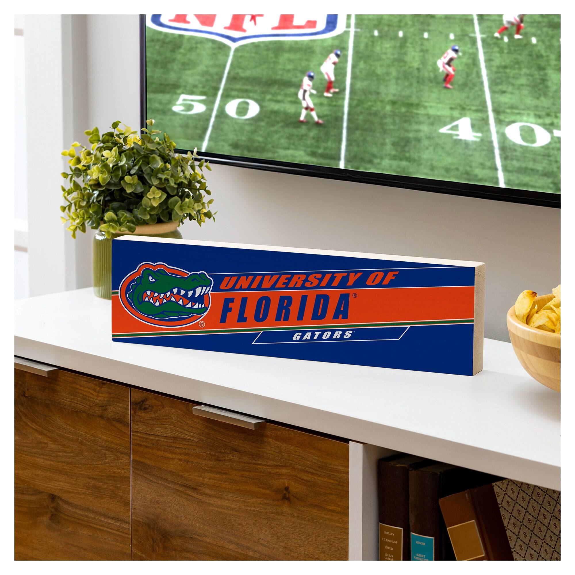 UNIVERSITY OF FLORIDA  
GATORS