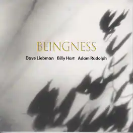 Dave Leibman - Beingness - VINYL LP