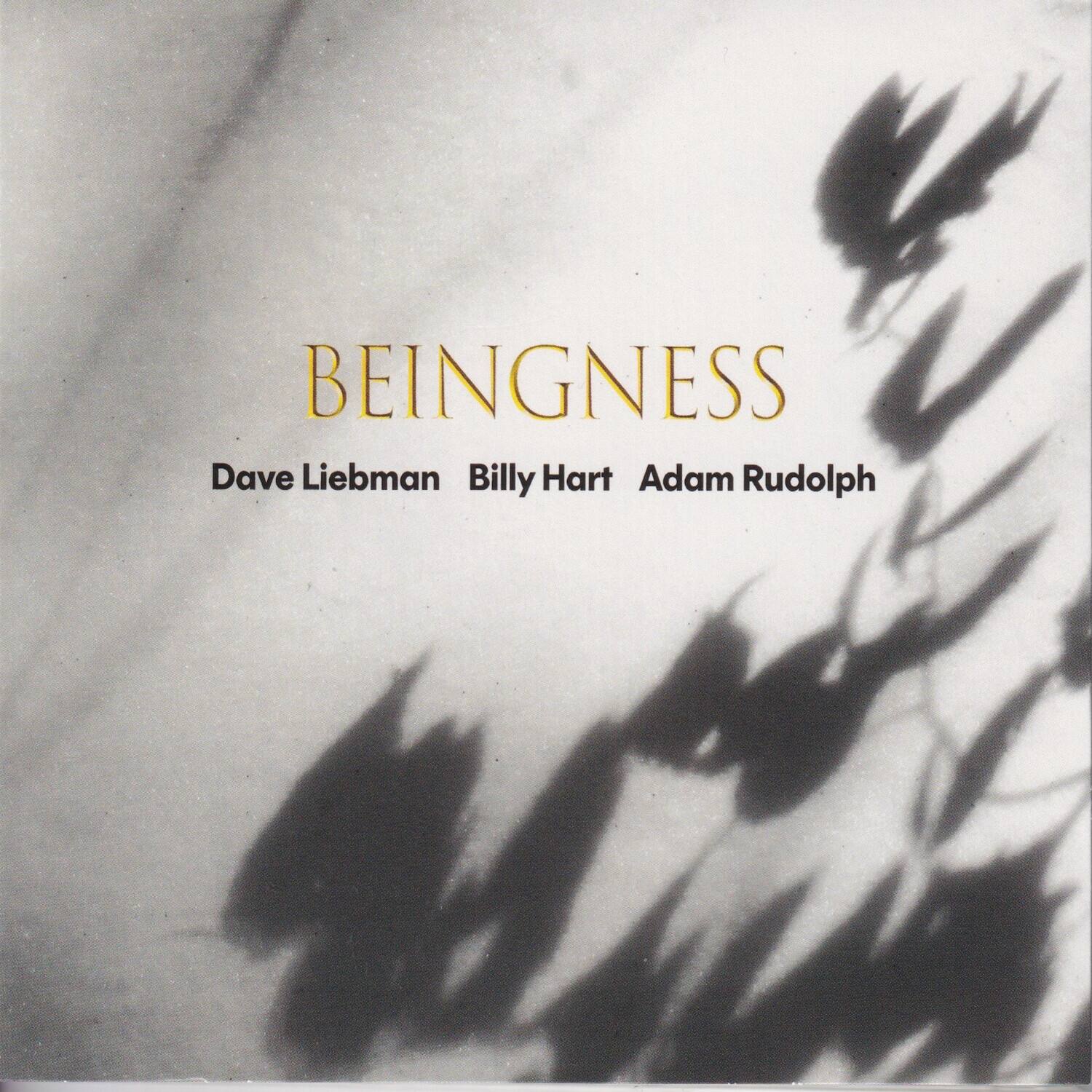 BEINGNESS  
Dave Liebman  
Billy Hart  
Adam Rudolph