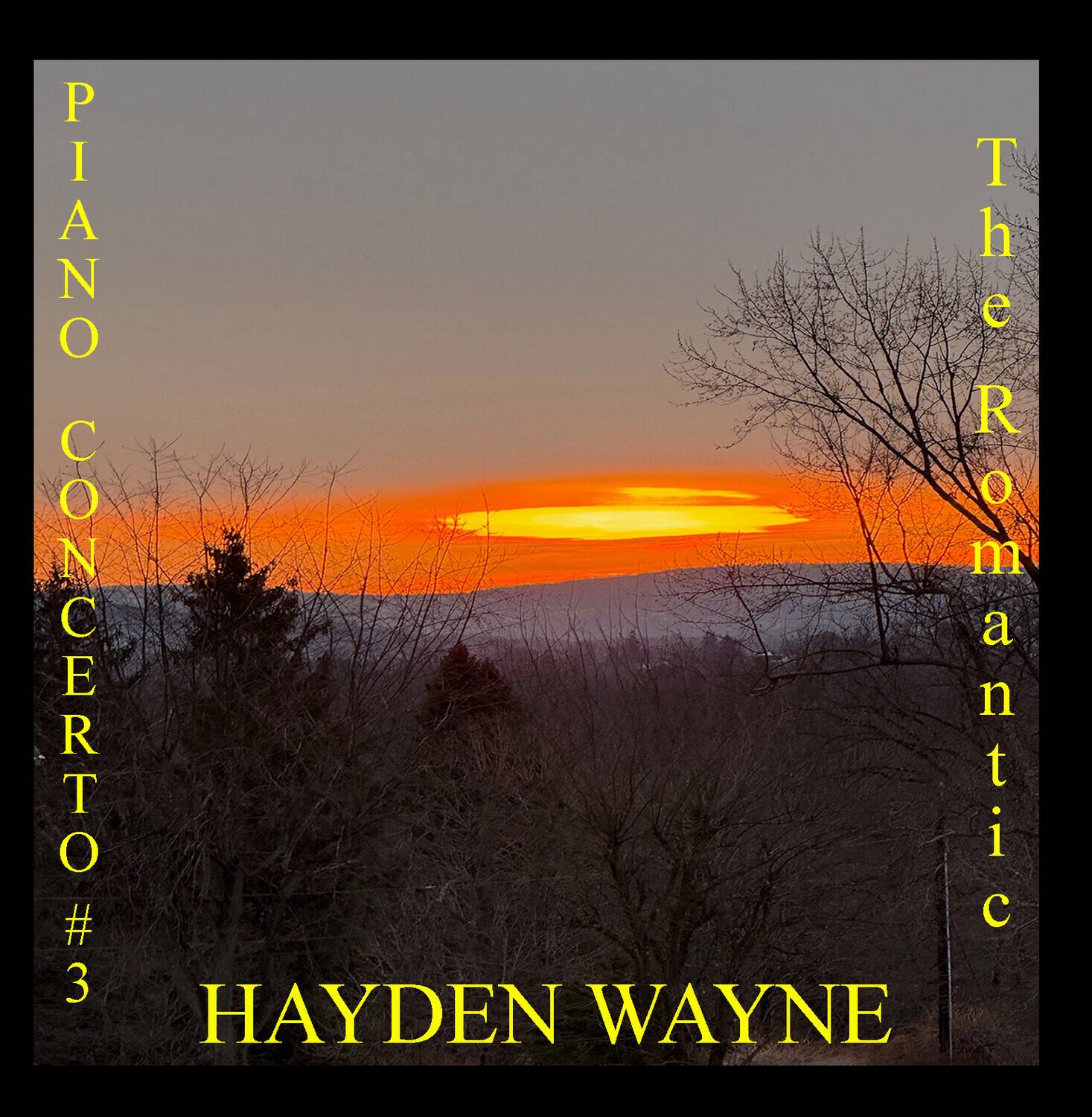 Hayden Wayne - Piano Concerto #3: The Romantic   - COMPACT DISCS [CD] price history on PriceWatchPro