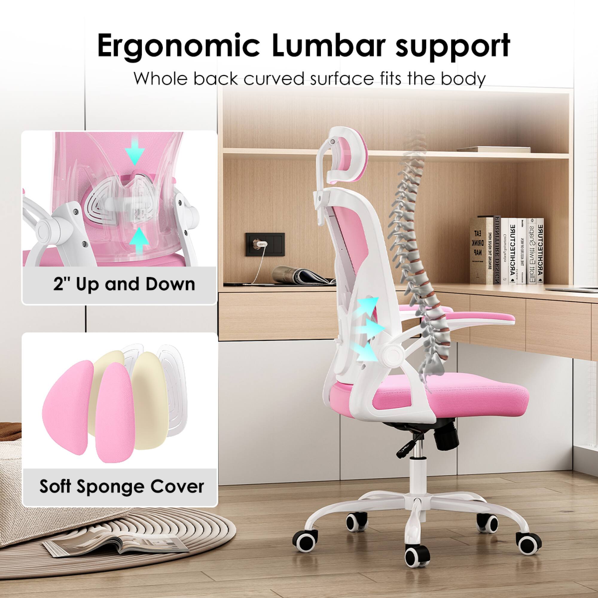 Ergonomic Lumbar support  
Whole back curved surface fits the body  

2" Up and Down  

Soft Sponge Cover