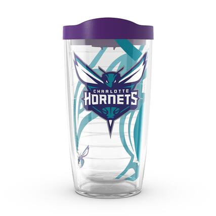 CHARLOTTE HORNETS