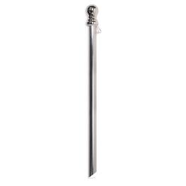 Evergreen Enterprises - Chrome Finish Flag Pole - Multicolor