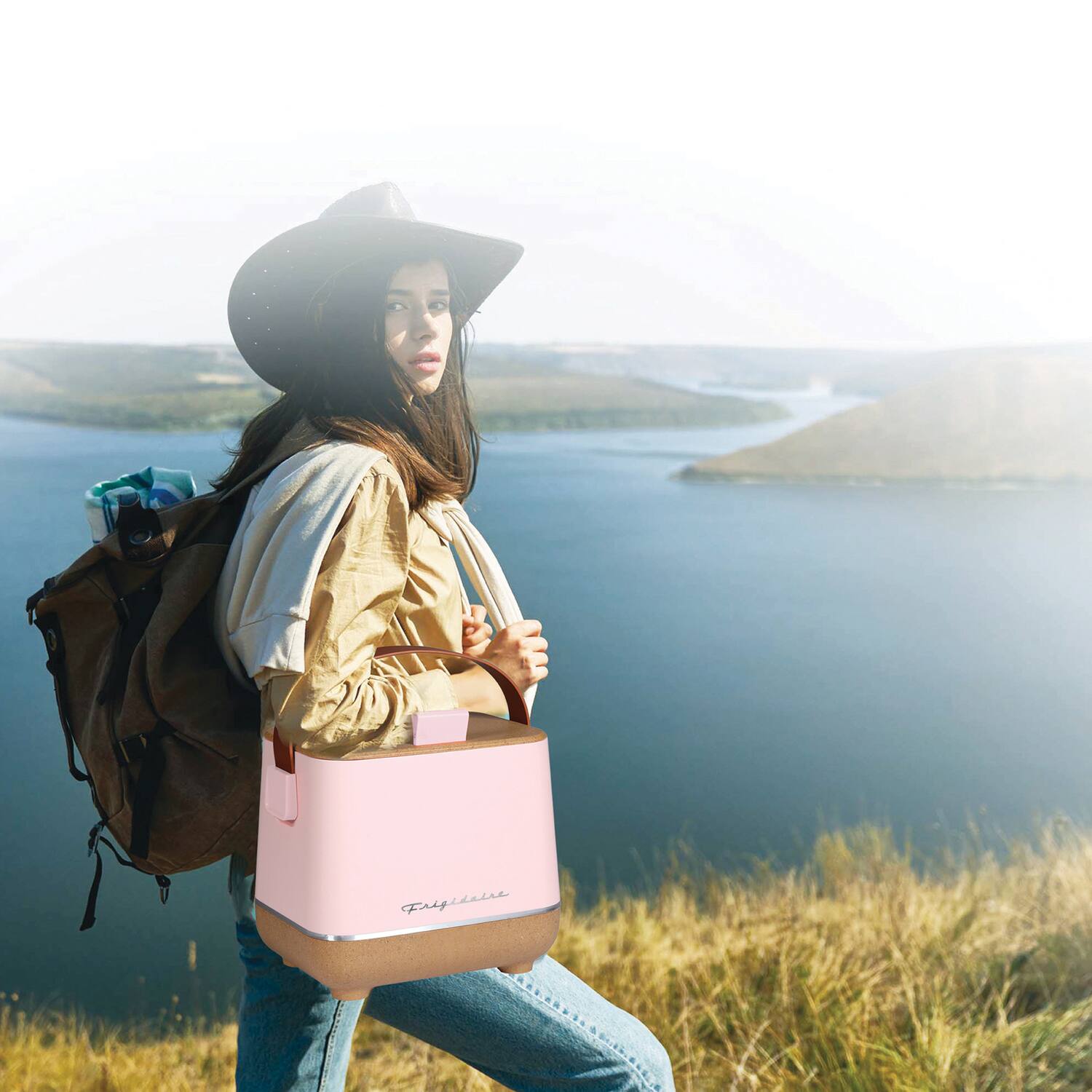 The text on the image reads: "Frigidaire"