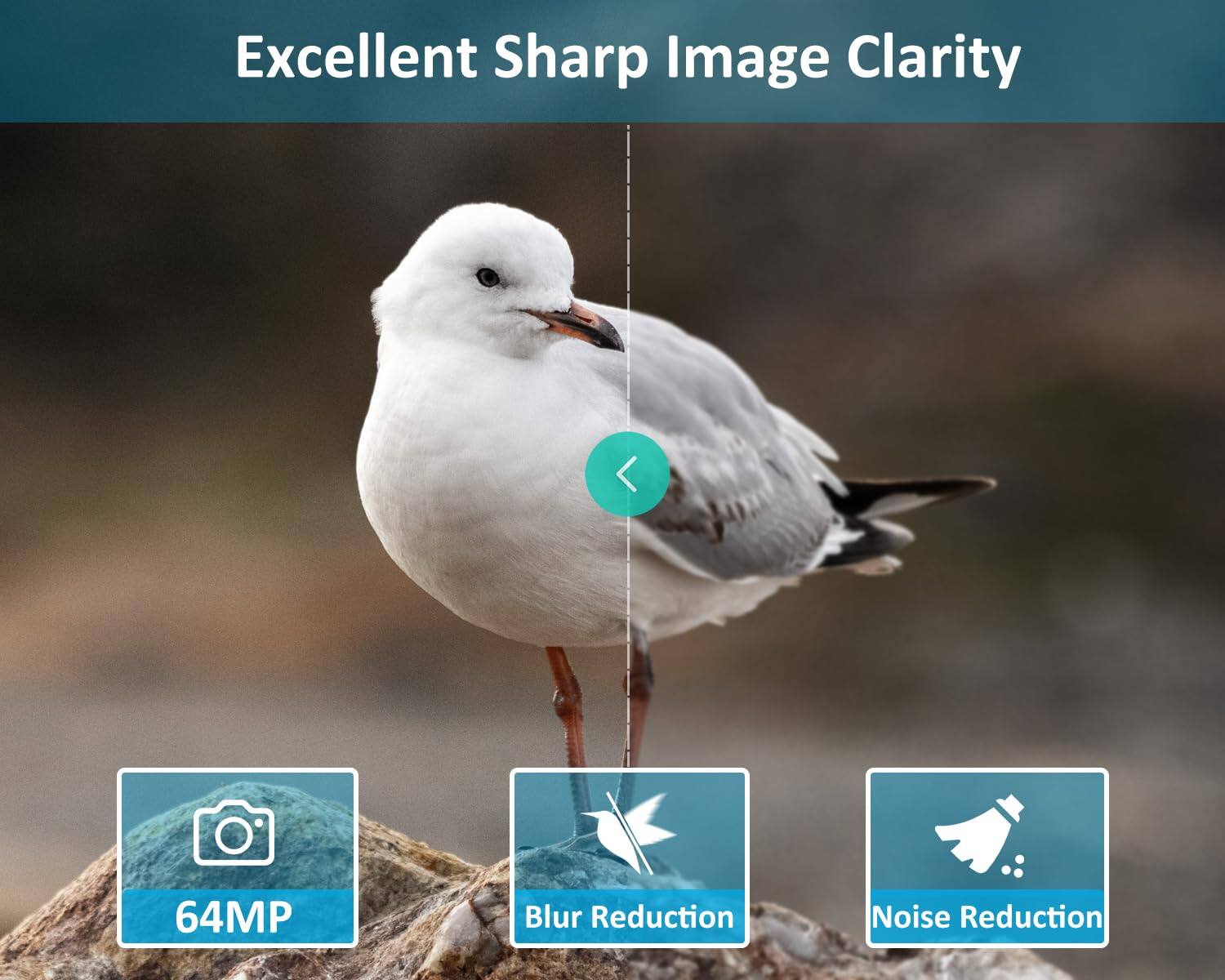 Excellent Sharp Image Clarity

64MP

Blur Reduction

Noise Reduction