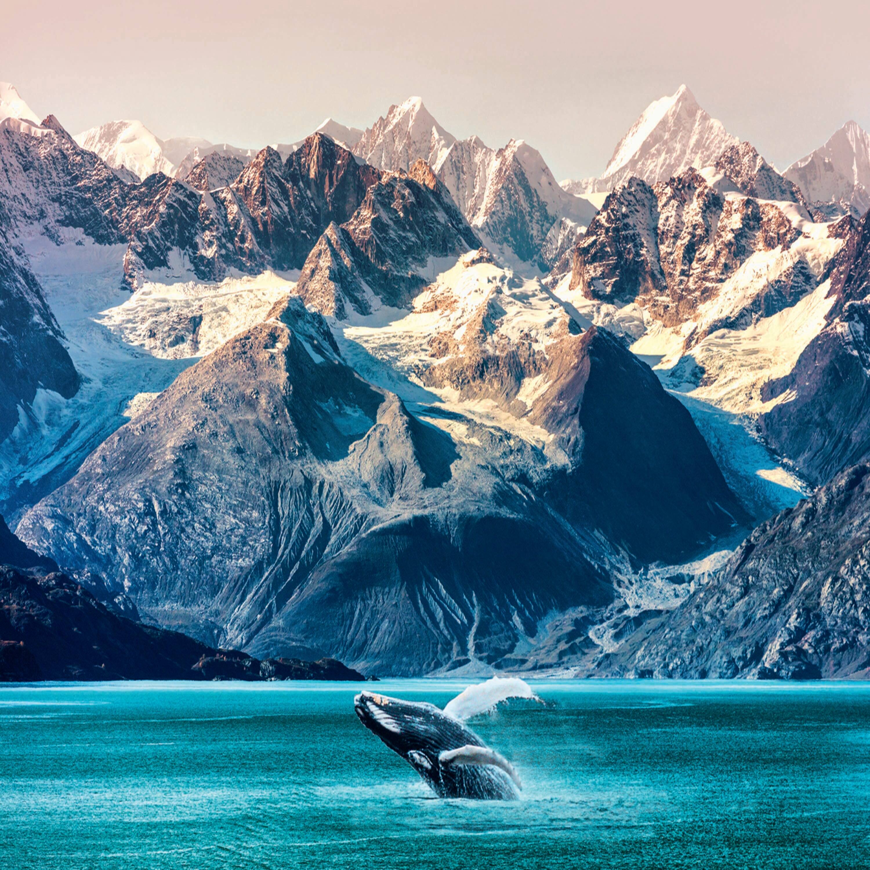 Alt View 1. Trefl - Trefl Red Nature in Action 1000 piece puzzle.